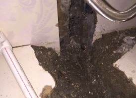 枣庄市卫生间测漏水哪家好