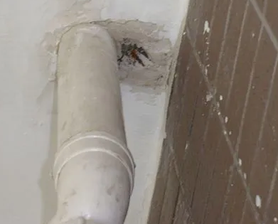 枣庄市漏水检测哪家好